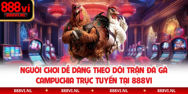 Người chơi dễ dàng theo dõi trận đá gà Campuchia trực tuyến tại 888VI
